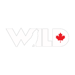 Wild TV logo