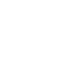 NBC 5 Chicago News logo