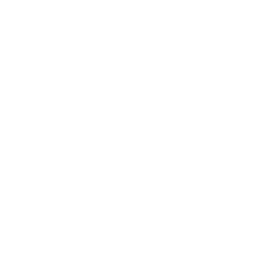 CTV Life Channel logo