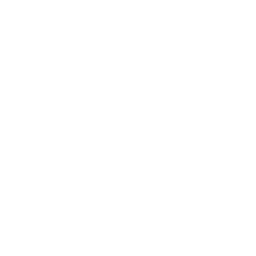 Newsmax en Espanol logo