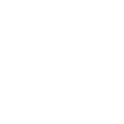 WeatherSpy logo