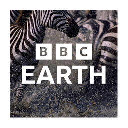 BBC Earth logo
