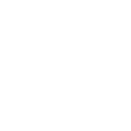 Palestine Live logo