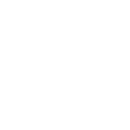 Un Si Grand Soleil logo
