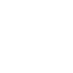 The First 48 by A&E logo