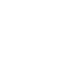 Starz Encore Westerns logo