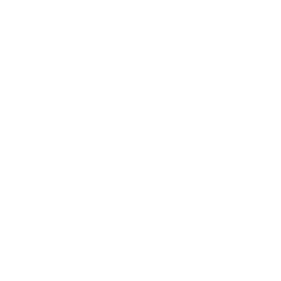 Times Now World logo