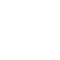 Channel 31