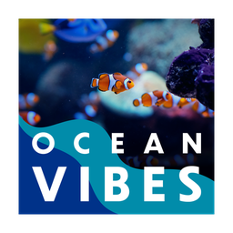 Ocean Vibes logo