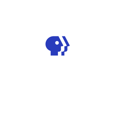 PBS History logo