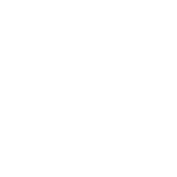 Philadelphia Phillies logo