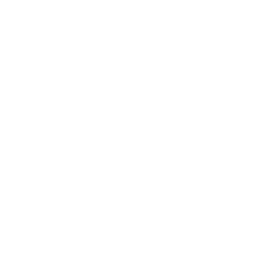 Minnesota Twins logo