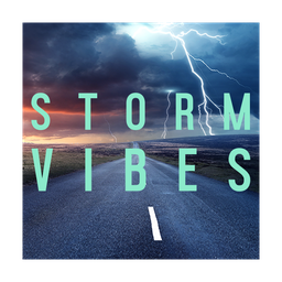 Storm Vibes logo