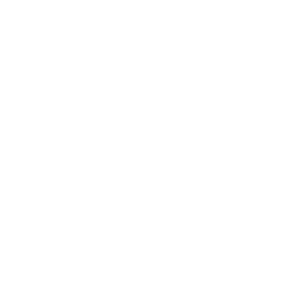 Z logo