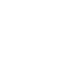 Wu Tang Collection logo