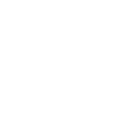 TVP Info logo