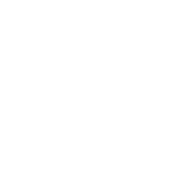 FOX (WOFL) logo