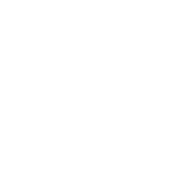 Buen Viaje logo