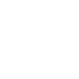 ABC (WTVD) logo