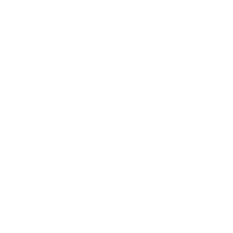 USA Network logo