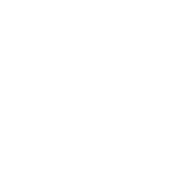 Denver Nuggets logo