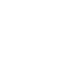 NHL Network Alternate logo