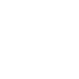 Showtime Next logo