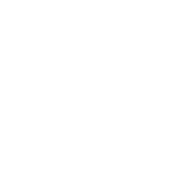 Charlotte Hornets logo