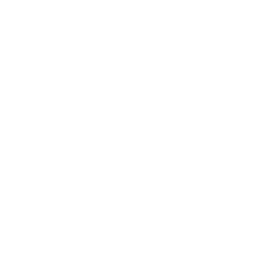 NTN24 logo