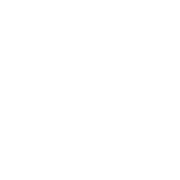 Real Wild logo