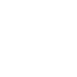 Murdoch Mysteries logo