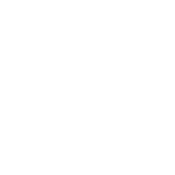 MeTV Toons (DISH Only) logo