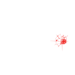 American Crime Channel logo