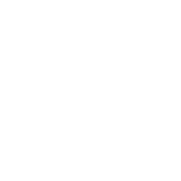 Dominican View logo