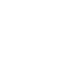 FilmRise Canadien logo
