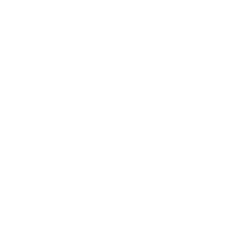 SBS Arabic logo