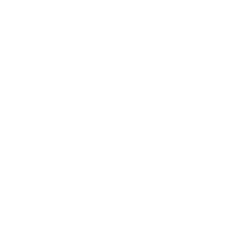 Canal Vie logo