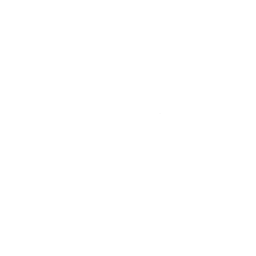 Indiana Fever logo
