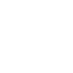 Minnesota Timberwolves logo