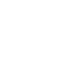 The Hotel Inspector logo