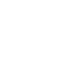 Hong Kong Fight Club logo