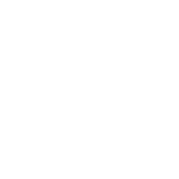 Xtreme Caution logo