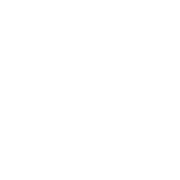 Urban Action Channel logo
