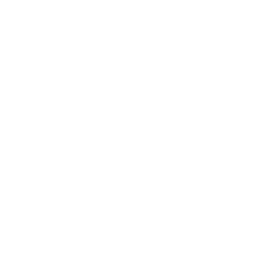 WSOC Channel 9 logo
