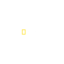 Nat Geo HD logo