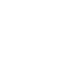 Toronto Tempo logo