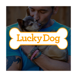 Lucky Dog