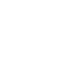 FOX News Talk logo