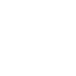CBS News New York logo