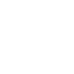 American Crimes logo